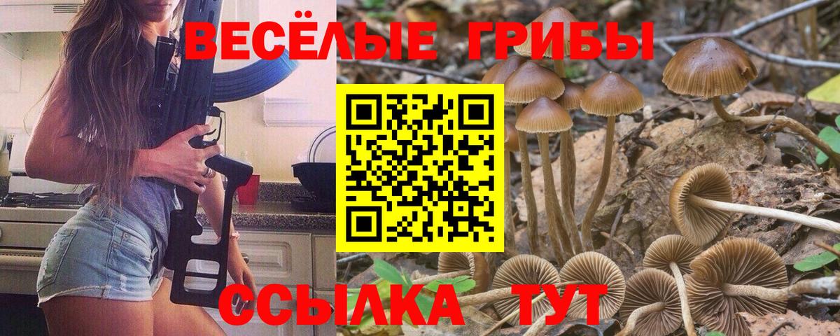 Лангепас  Псилоцибиновые грибы Psilocybe  Псилоцибиновые грибы Magic Shrooms  Вход с VPN 